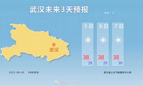 武汉天气预报15天气报_武汉天气预报15天气报气