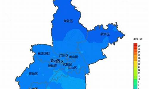 新洲区天气预报_新洲区天气预报未来15 天