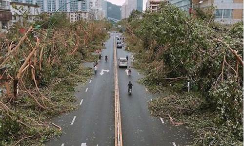 厦门台风情况_厦门台风情况最新消息